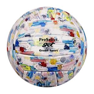 ProSelect专选排球学生中考专用排球 初中生比赛训练标准硬排5号