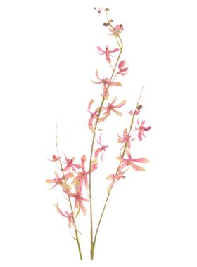 单支仿真花电视柜摆放蝴蝶兰花卉