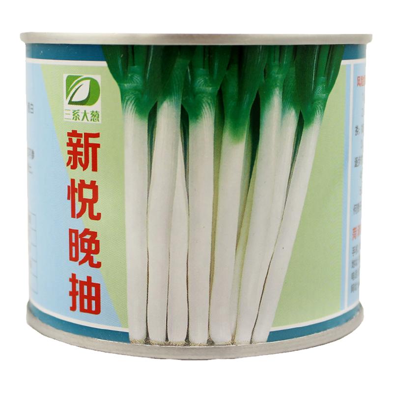 日本品种新悦晚抽大葱种子耐抽苔耐寒耐热蔬菜种子四季包邮免邮费