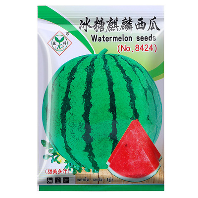 西瓜种子大全买2送1今年新种子