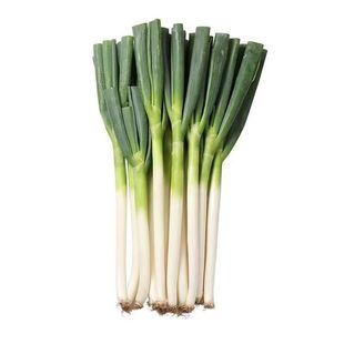 大葱山东葱新鲜大葱产地直发特级大葱毛葱洋葱香葱小葱送生姜包邮