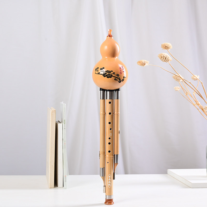 九孔葫芦丝专业演奏型 楠竹9孔云南超七八降b c调包邮成人儿童