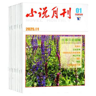 小说月刊杂志2026年1-4月现货【全年订阅2025/2024年可选】 短篇微型小说选刊小小说月报文学文摘过刊
