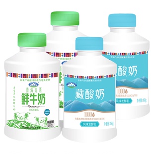 青海湖高原鲜牛奶藏酸奶组合装500ml*4瓶儿童营养早餐低温牛奶