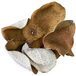 捡漏正宗新会南坦天马三江茶坑柑皮太阳生晒干仓老陈皮单片断皮