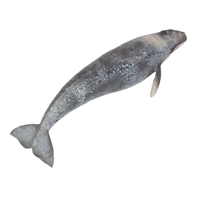 大灰鲸模型  仿真海洋动物鲸鱼摆件儿童早教玩具认知科普幼儿园