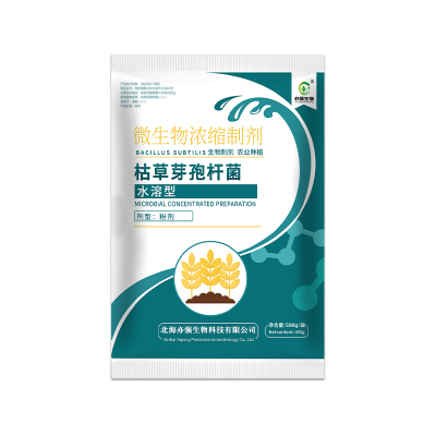 水溶枯草芽孢杆菌姜瘟根腐抗重茬