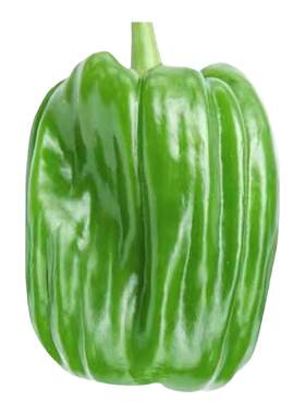 麻辣圆椒种籽阳台盆栽蔬菜