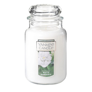 Yankee扬杨基白色栀子花white gardenia香薰蜡烛大瓶623g石榴香味