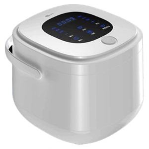 车载电饭煲12V24V通用型车家两用