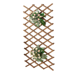 壁挂实木花架围栏网格阳台可伸缩爬藤庭院加厚装饰拉网藤架室内