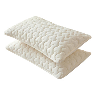 防头油枕套防口水隔脏枕头套一对装棉花夹棉枕芯内胆套防汗隔离层