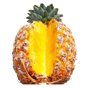 正宗海南芒果凤梨脆甜多汁浓郁芒果香味新鲜水果金钻凤梨现摘现发