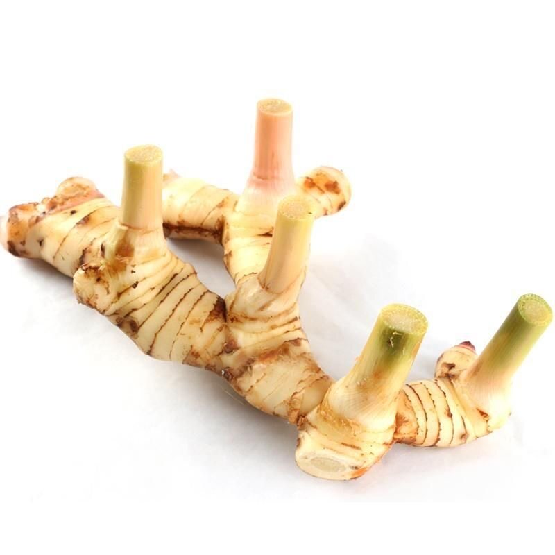 新鲜南姜泰式南姜调味香料冬阴功汤料火锅底料500G蔬菜生姜