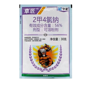 节节草除草剂木贼笔管筒草烂根药二甲四氯钠专用灭杀除草药剂