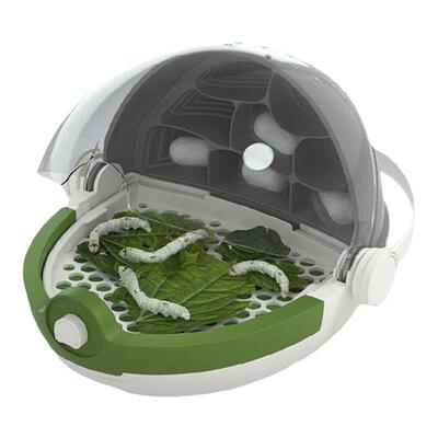 顺丰当天发蚕宝宝活蚕卵学生套装