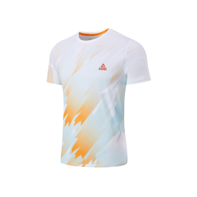 匹克二次呼吸速干专业训练T恤男