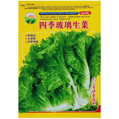 生菜种子大全四季播种好吃易种