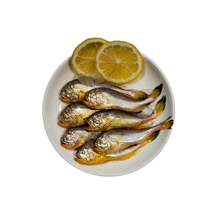 无冰衣舟山梅童鱼新鲜大头宝冷冻海产捕捞黄梅丁生鲜梅子鱼小梅鱼