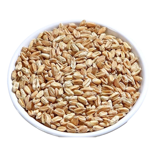 浮小麦中药材旗舰店正宗浮麦茶饮伏胡瘪麦子非止甘草甘麦大枣汤汗