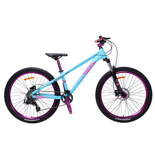 雷克斯LAUX悟空200土坡车铝合金车架单盘9速120响四培林花鼓