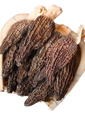 云南羊肚菌头茬无硫26年新品500g
