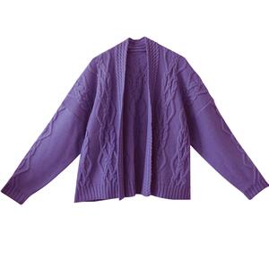 外套女年春新款宽松短款针织衫