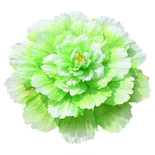 舞蹈道具花幼儿发泡牡丹花伞跳舞开场广场舞表演演出道具手拿花伞