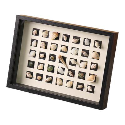 装贝壳相框海螺标本收集展示框