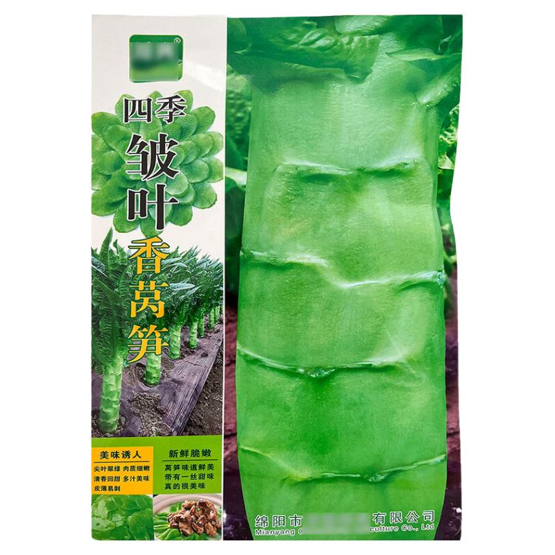 四季皱叶香莴笋20g种子孑籽尖叶