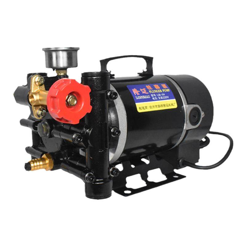 隆迈手提式打药机农用电动果树喷雾器12v60v24v220伏双缸柱塞泵
