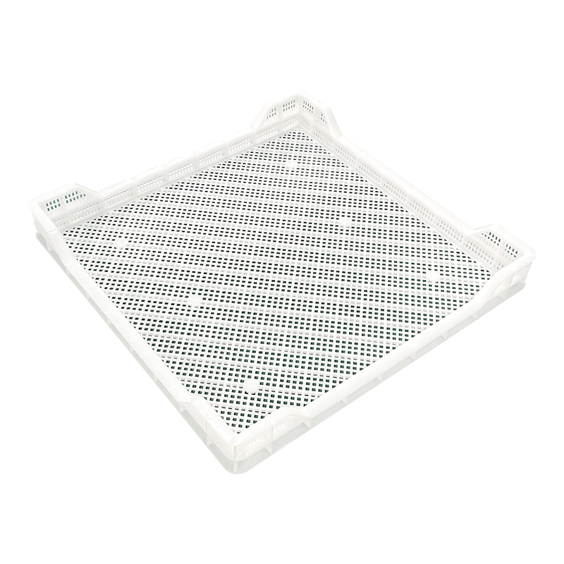 塑料单冻器烘干盘晾晒托盘食品级冷冻盘大枣浅筐草药蝴蝶面海参盘