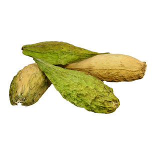 天浆壳中药材静萱正品天将壳干货萝藦荚哈喇瓢萝藦果壳老鸹瓢