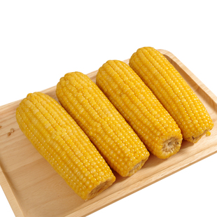 【老玉米】10根有嚼劲黄糯东北特产真空粘苞米棒鲜香黏粗粮非白黑