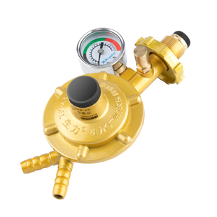 液化气减压阀家用新国标煤气罐安全阀自动关闭热水器燃气灶一拖二
