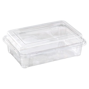 食品包装盒一次性大容量透明西点蛋糕盒中式烘焙盒连体面包打包盒