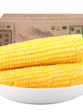 当季新玉米德乐圆老关东玉米