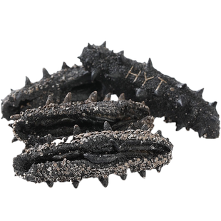 海晏堂简装250g淡干海参大连辽刺参地理标志产品海鲜干货