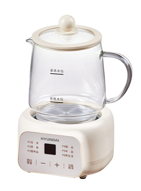 HYUNDAI加厚玻璃保温养生杯