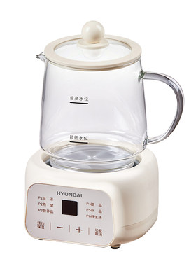 HYUNDAI加厚玻璃保温养生杯