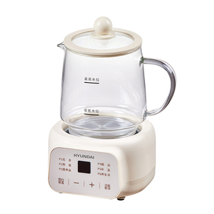 HYUNDAI养生杯办公室小型多功能煮茶器加厚玻璃带保温家用养生壶