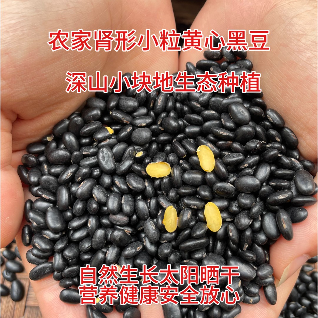 新豆老品种土货肾形黄心黑豆小粒1斤广西小块地种植 打豆浆煮水喝