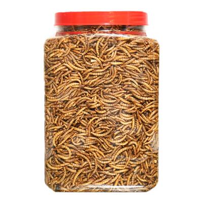 面包虫干仓鼠鸟类龟粮小宠零食
