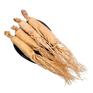 正宗山参长白山东北特产林下白参新鲜人参泡酒干参片水参须煲汤