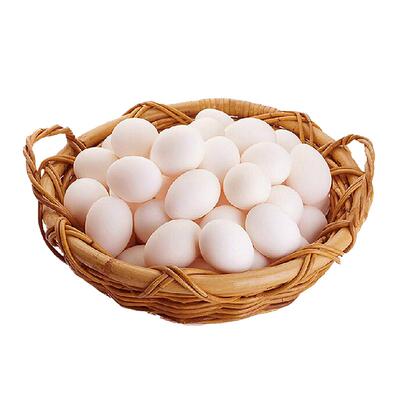 鸽子蛋大个精选散养杂粮鸽子蛋