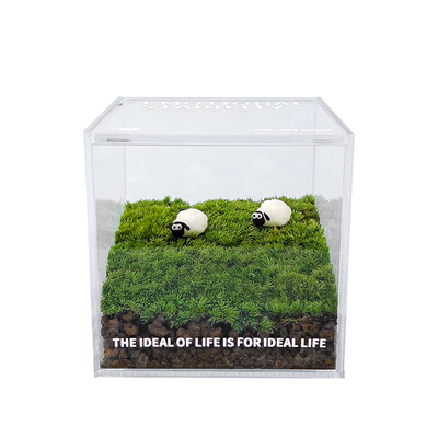 苔藓桌面解压生态瓶微景观