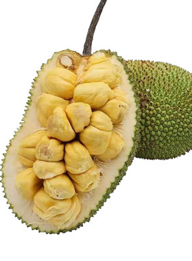 满苞精品大果榴莲蜜海南整个9斤