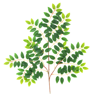 仿真树叶榆树叶塑料加密槐树枝绿植物叶子假树枝工程装饰造景绿叶