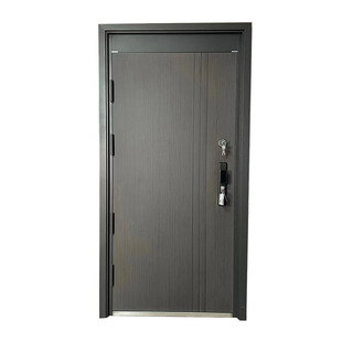 双人双锁甲级防盗门主副银行部队枪械室危化品工厂财务室特殊部门