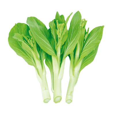 早熟白菜苔种籽菜心种子耐寒甜脆早熟多芽味甜阳台盆栽蔬菜种子籽